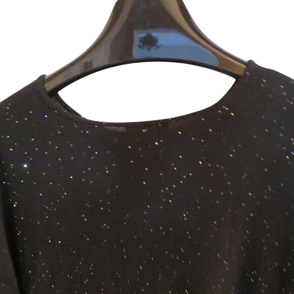 🎉HP🎉Eileen Fisher Black Wool, Short Sleeve Top w/Tiny Silver Sequins, Large, EUC - Picture 4 of 12